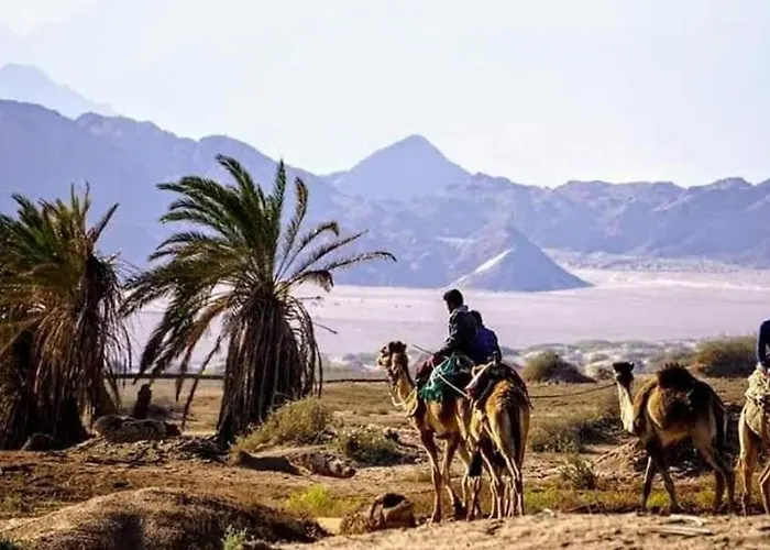 Nabq Adventure Camp مكان تخييم *