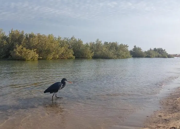 Nabq Adventure Camp شرم الشيخ